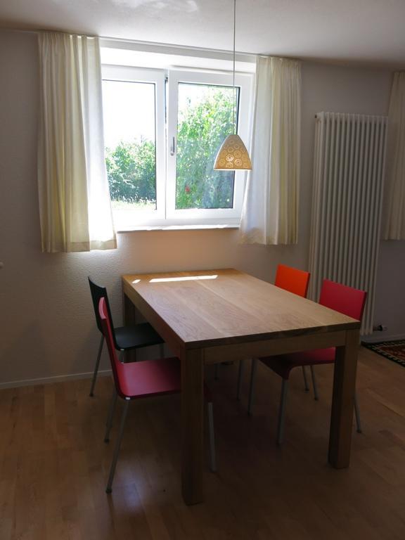 Zentrales 2-Zimmer Apartment Tübingen Kamer foto